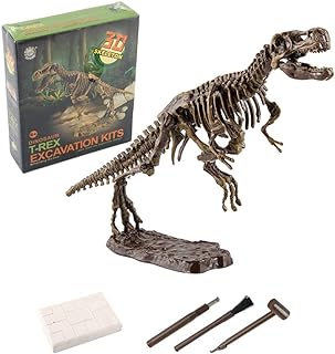 kit de excavación t-rex