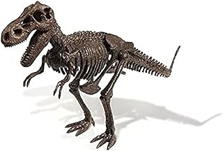 Esqueleto fosilizado de tiranosaurio rex