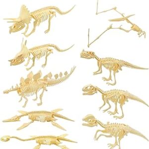 Colección de rompecabezas maquetas de esqueletos de dinosaurios de diferentes tipos