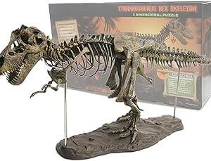 Maqueta hiperrealista de esqueleto fosilizado de tyrannosaurus rex con peana