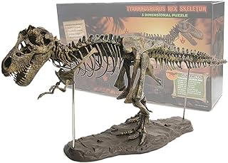Maqueta hiperrealista de esqueleto fosilizado de tyrannosaurus rex con peana