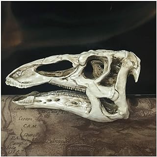 Réplica de cráneo fosilizado de dinosaurio de artesanía