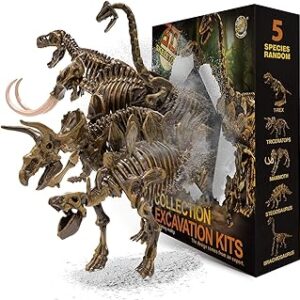 Set de maquetas de fósiles de varias especies de dinosaurios