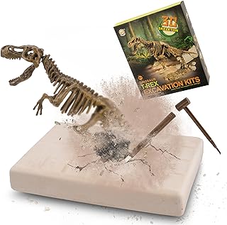 Fósil de t-rex emergiendo en juguete de excavación